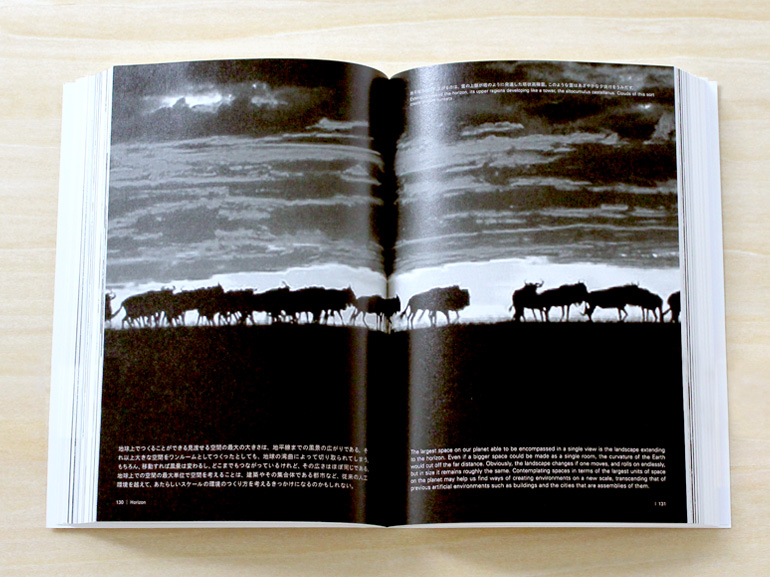 建築のあたらしい大きさ｜青幻舎 SEIGENSHA Art Publishing, Inc.