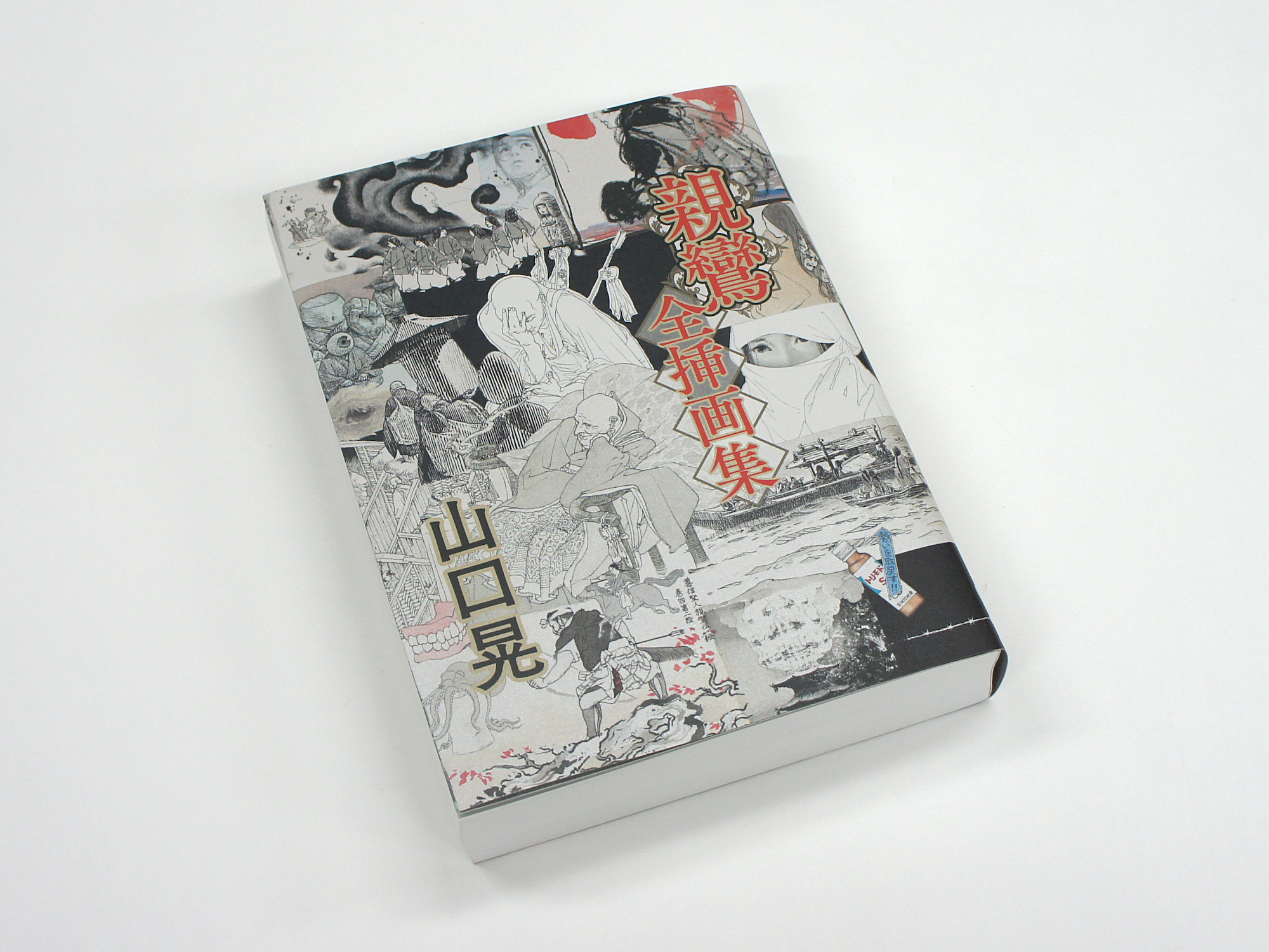 山口晃 親鸞 全挿画集｜青幻舎 SEIGENSHA Art Publishing, Inc.