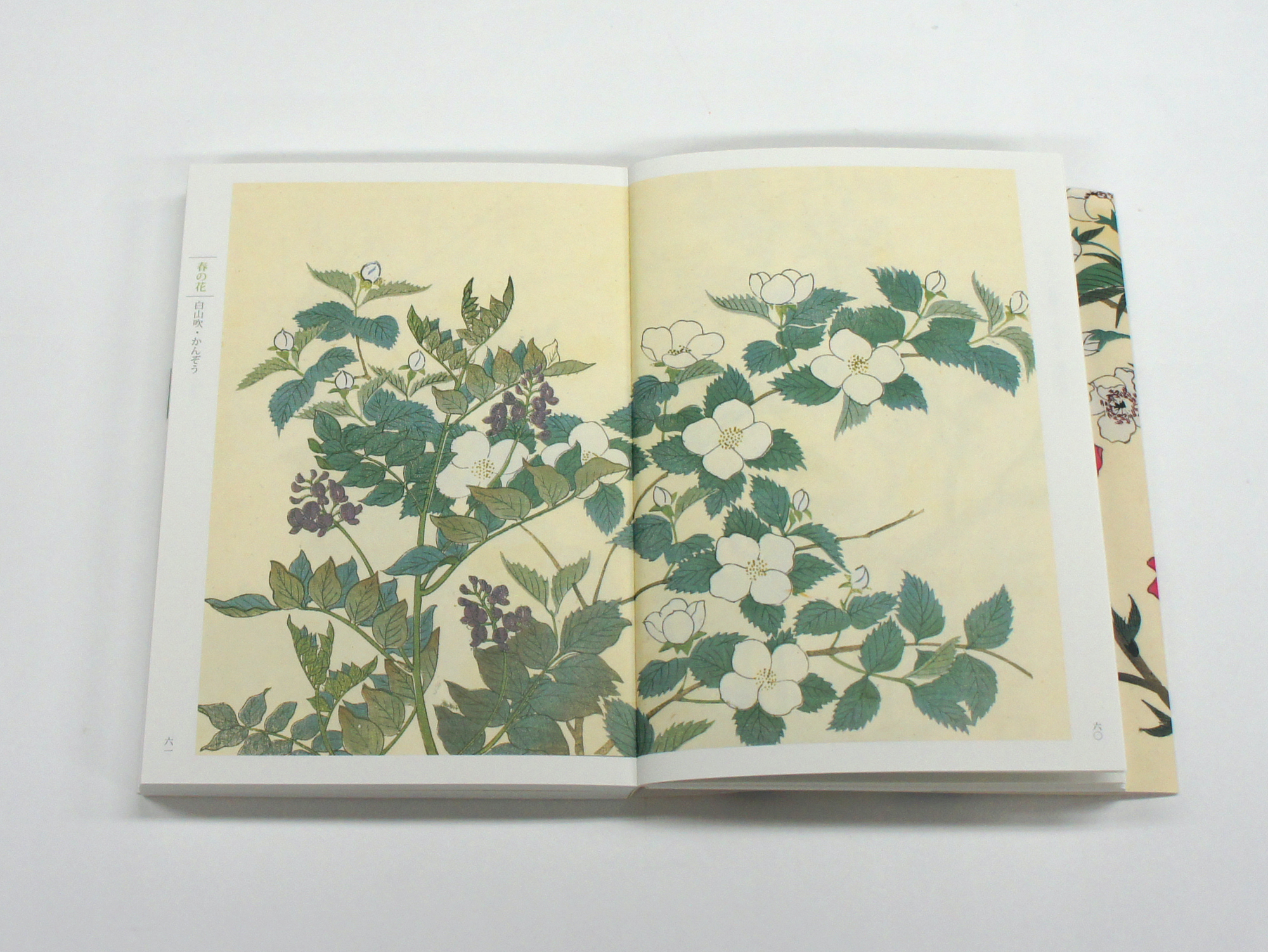 新装版 四季の花（上巻）｜青幻舎 SEIGENSHA Art Publishing, Inc.