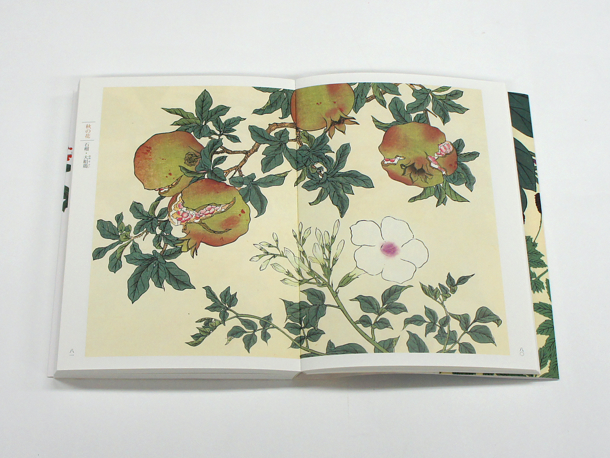 新装版 四季の花（下巻）｜青幻舎 SEIGENSHA Art Publishing, Inc.