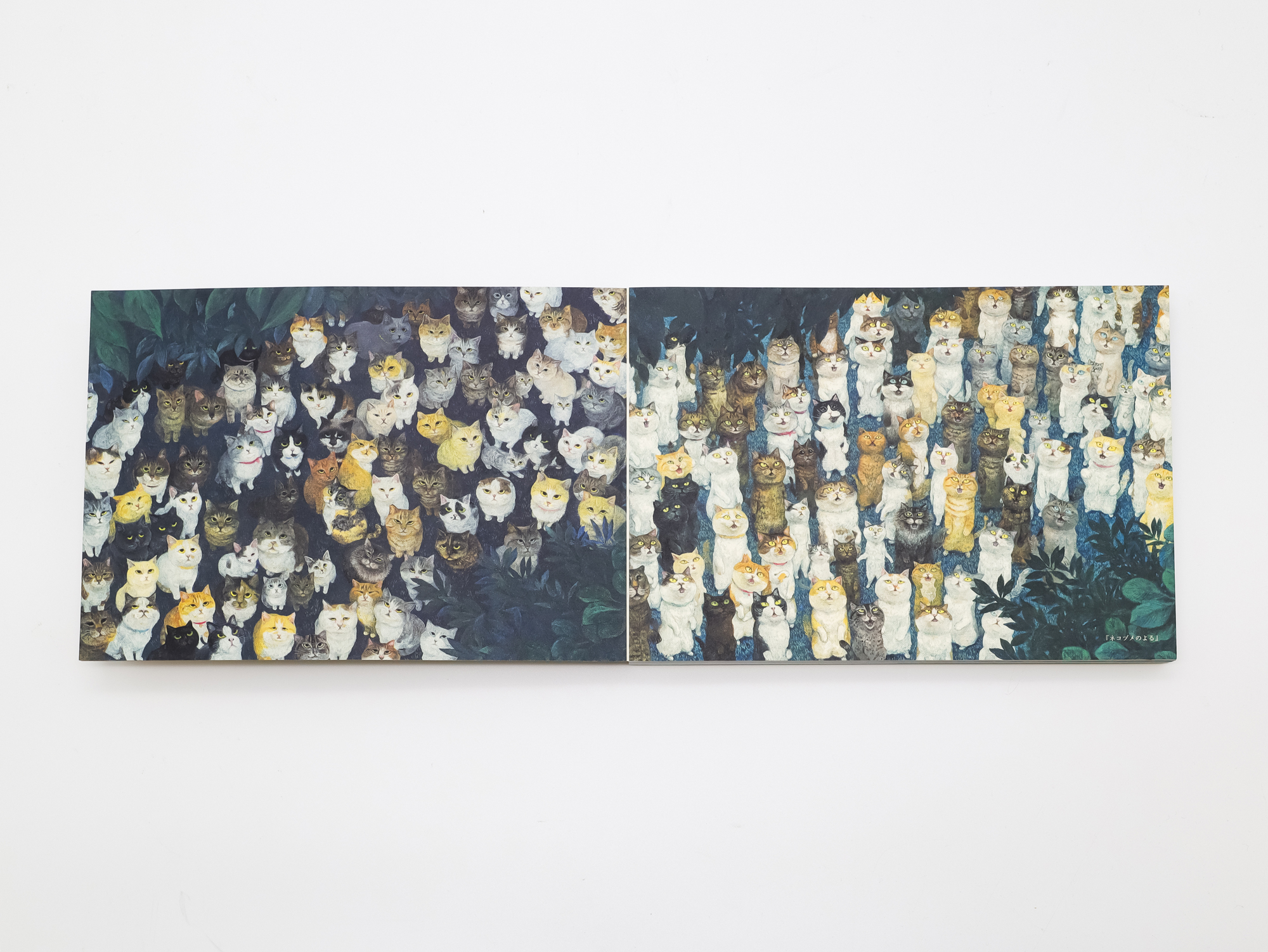 町田尚子画集 隙あらば猫｜青幻舎 SEIGENSHA Art Publishing, Inc.