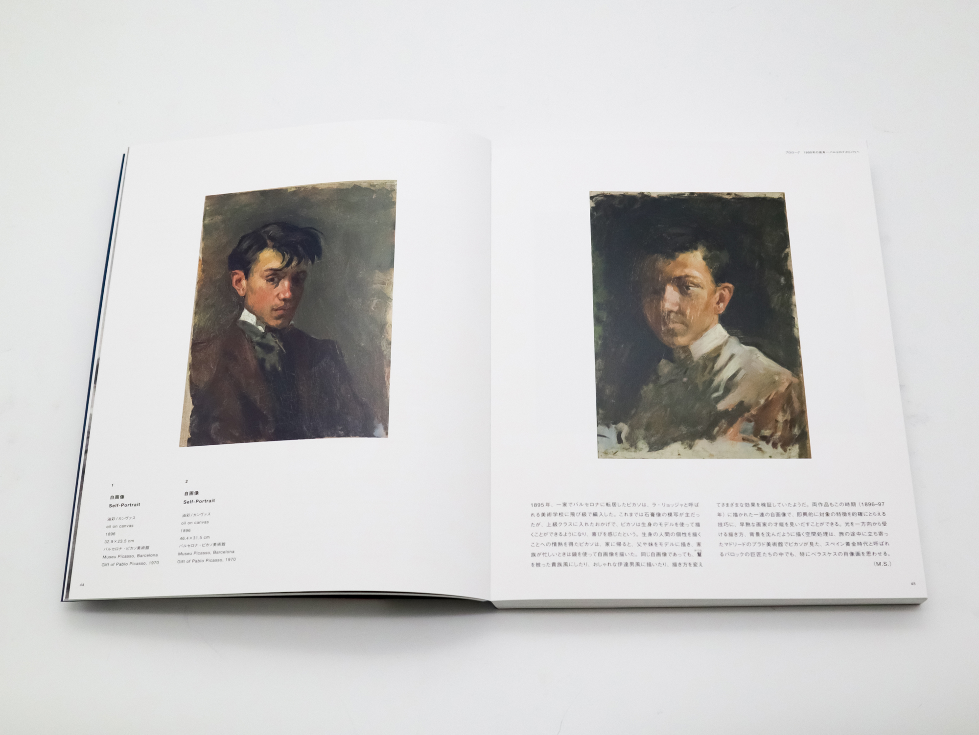 ピカソ 青の時代を超えて PICASSO THE BLUE PERIOD AND BEYOND｜青幻舎