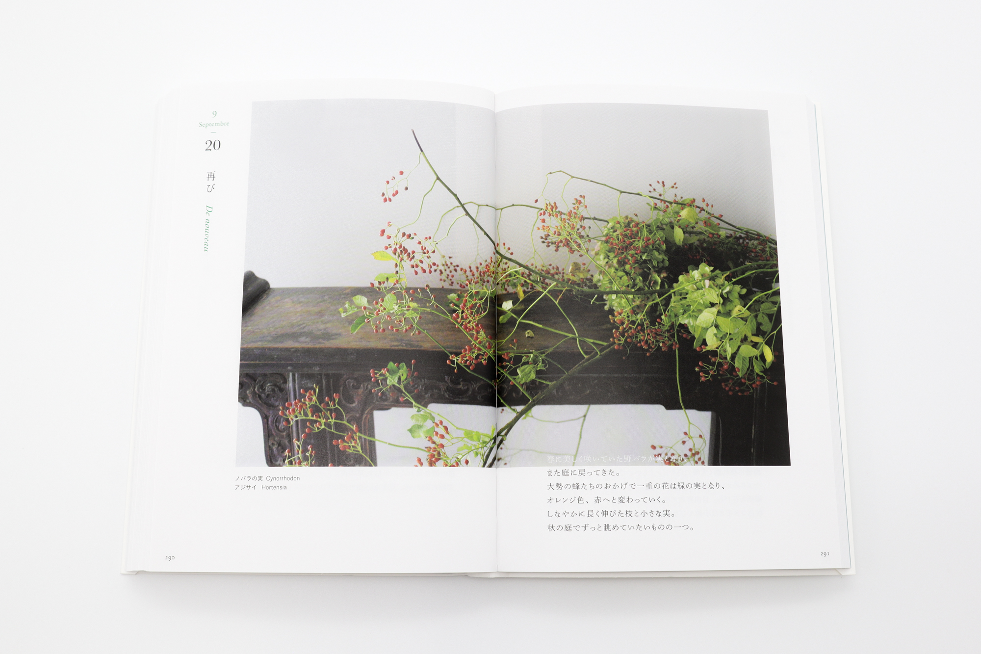 図録『永遠に花咲く庭 17ー19世紀の西洋植物画』 図録『永遠に花咲く庭