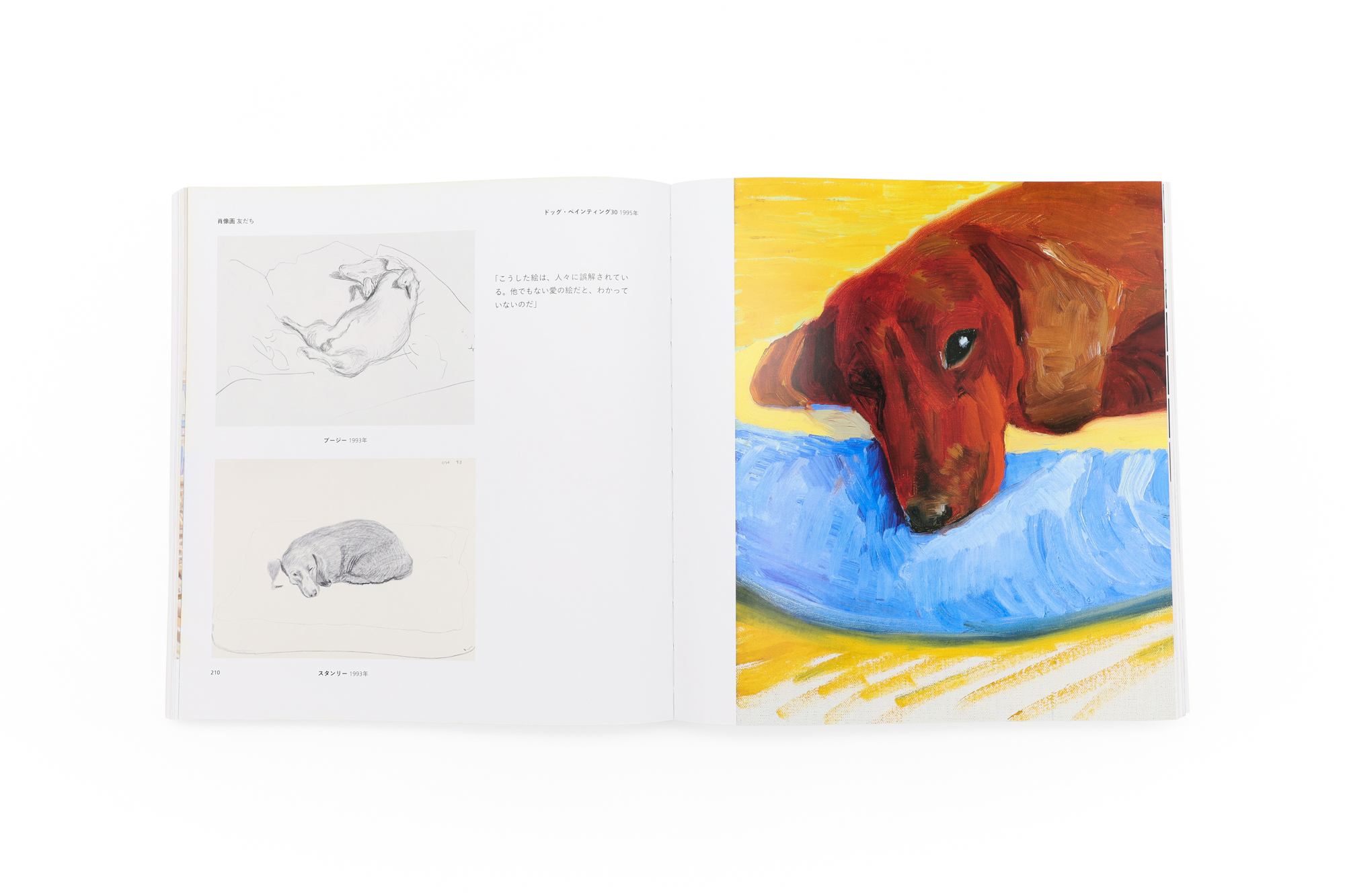 デイヴィッド・ホックニー作品集｜青幻舎 SEIGENSHA Art Publishing, Inc.