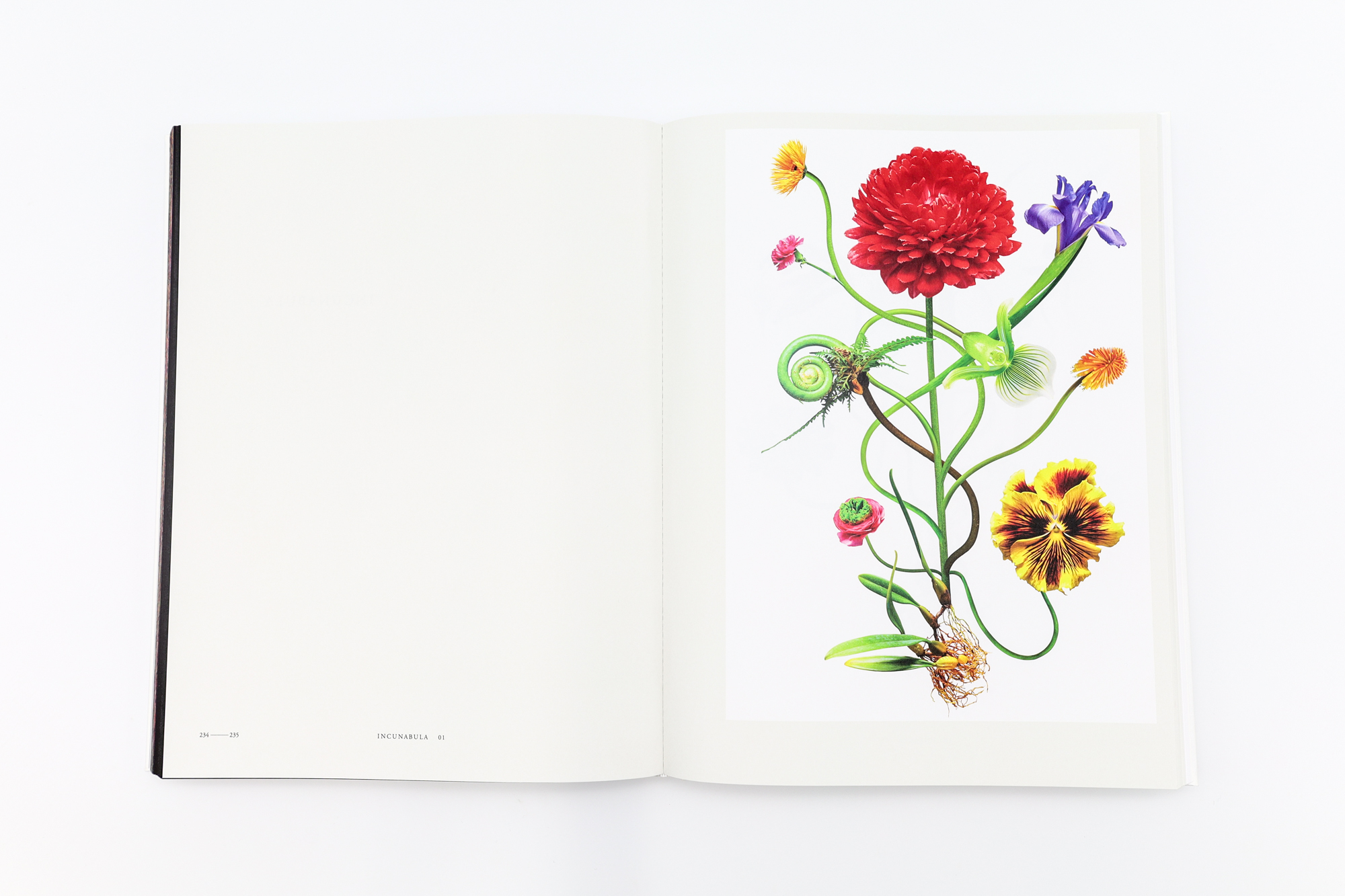 ENCYCLOPEDIA OF FLOWERS Ⅵ 植物図鑑｜青幻舎 SEIGENSHA Art