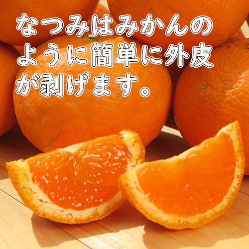 なつみ カラマンダリン 特選3kg・秀品 S/M/L みため〇 おいしさ