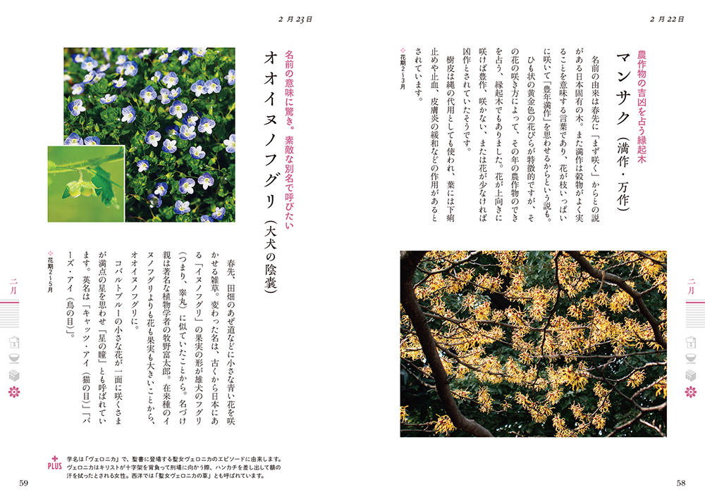 一日一花を愉しむ 花の歳時記366｜西東社｜『人生を楽しみ・今を楽しむ