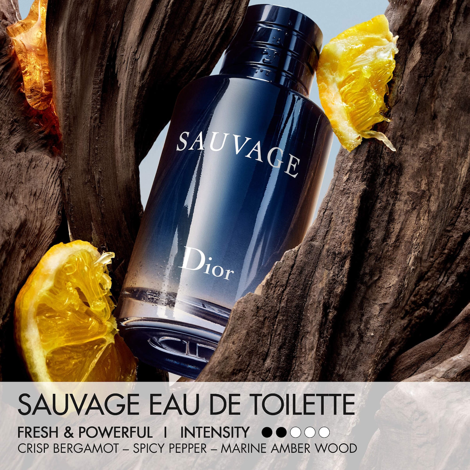 Sauvage Eau de Toilette - Dior | Sephora