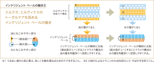 進化するスキンケア エルテオシリーズ | きれいのレシピ by セプテム