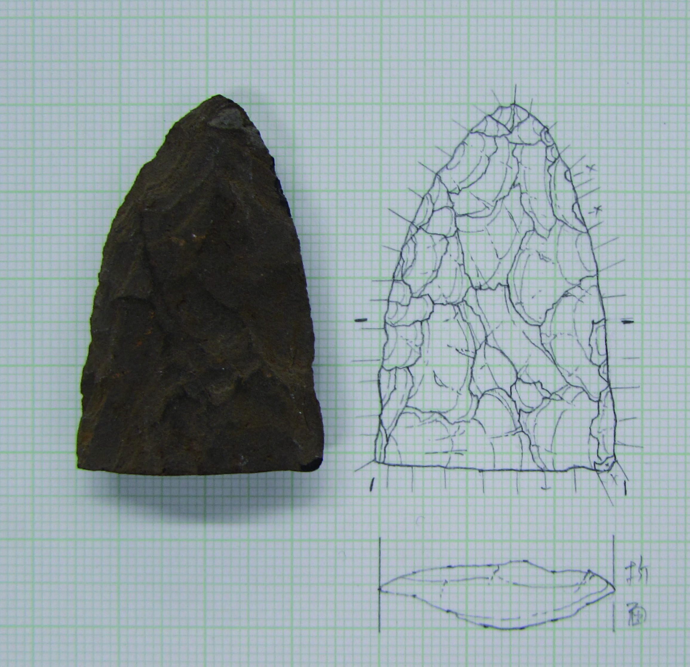無口な考古資料 | 相模原市立博物館の職員ブログ