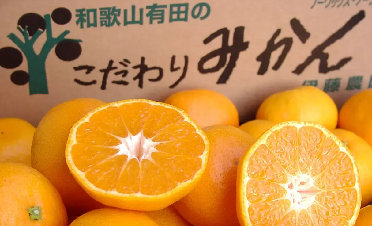 伊藤農園 100%ピュアジュース 8本ギフトセット | ノンアルコール