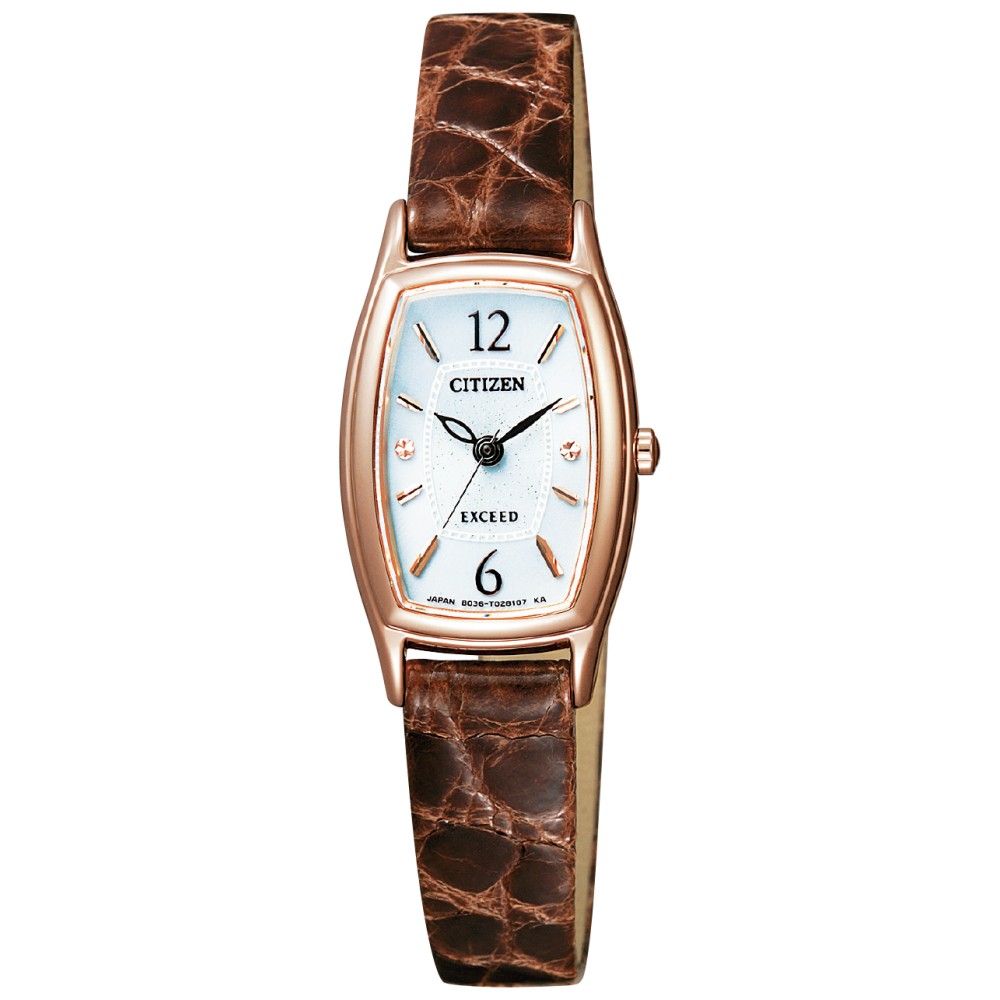 Citizen Exceed EX2002-03A | Sakurawatches.com