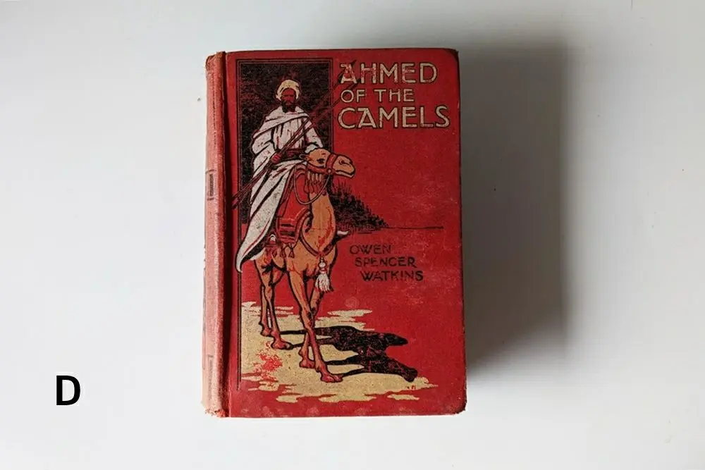 アンティーク本 イギリスの児童書 挿絵入りの古書 | 雑貨と