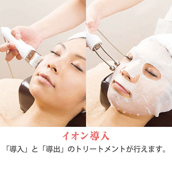 SO-550 ソニア複合器(5in1) / プロ専用エステ・理美容・ネイル・整体商