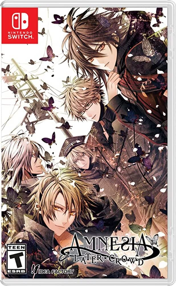 Celebrating All Things Romantic: Amnesia Later - Samantha Lienhard