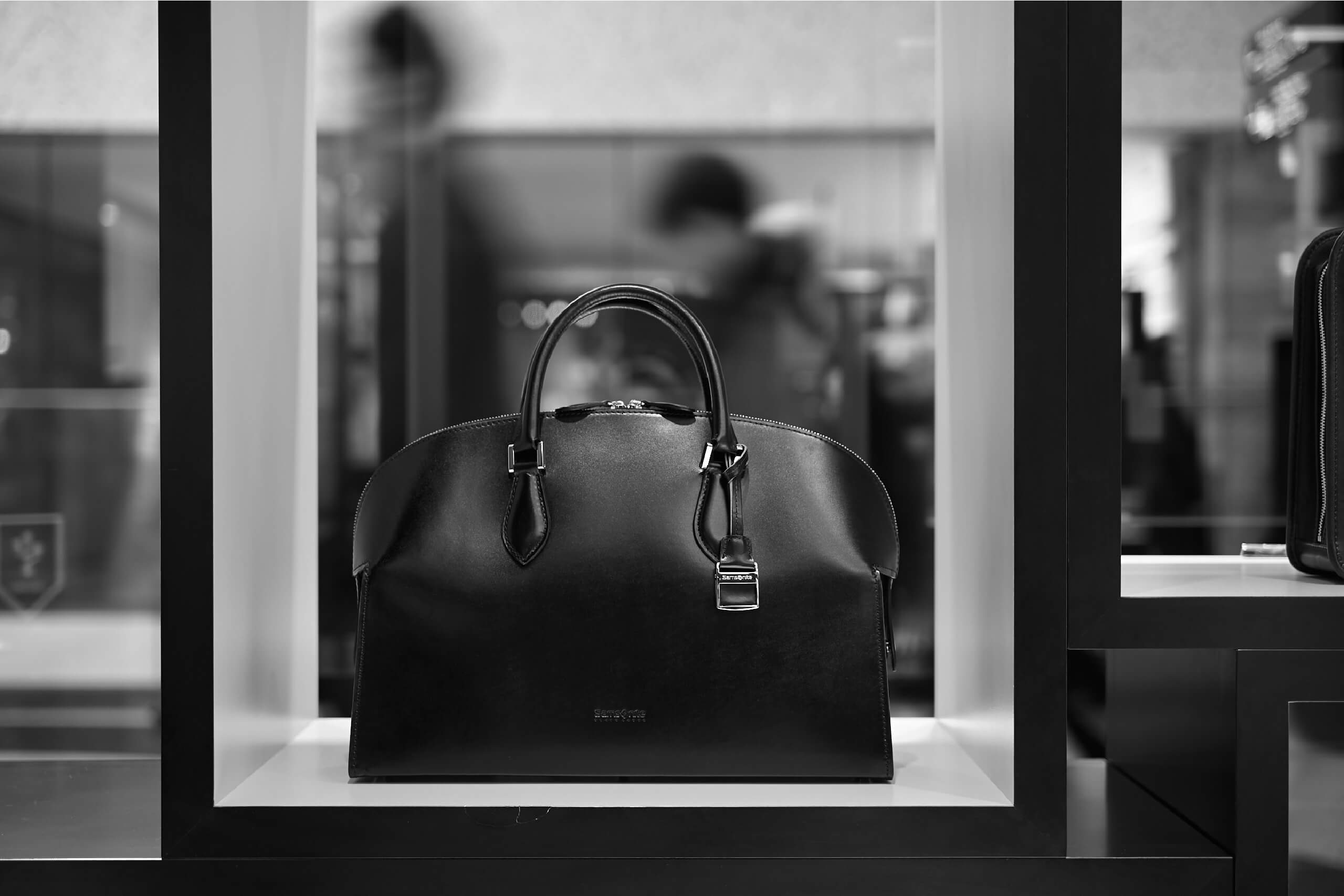 サムソナイト・ブラックレーベル‐デュモンクス スペシャルサイト