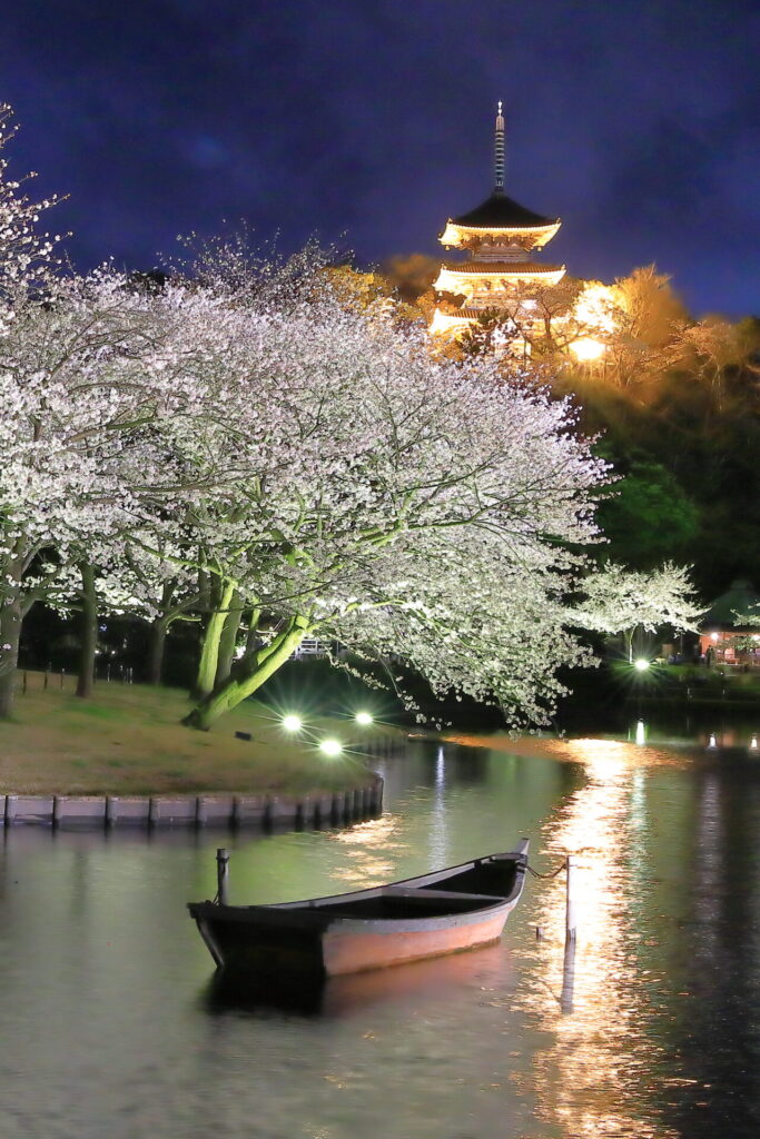 桜ライトアップ2026 - イベント | 横浜 三溪園