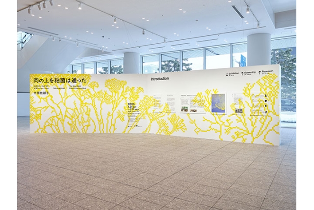 SCARTS×CoSTEPアート＆サイエンスプロジェクト 市原佐都子『肉の上を粘