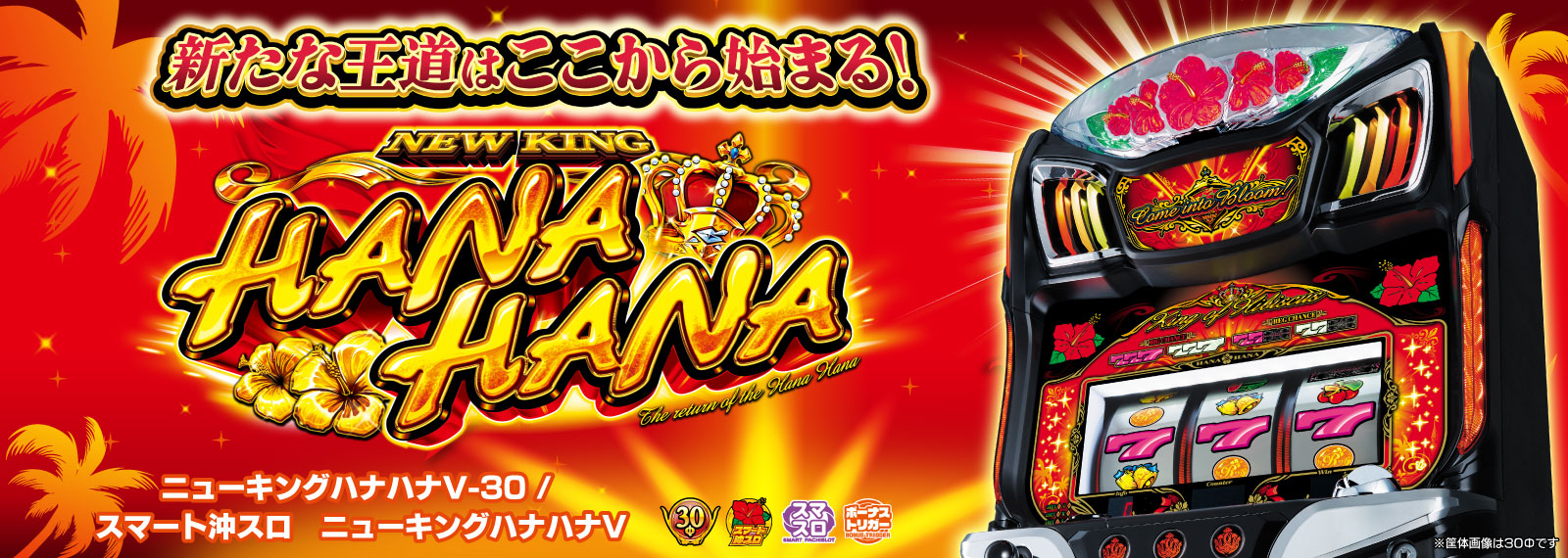 ハナハナシリーズ一覧 | 株式会社パイオニア