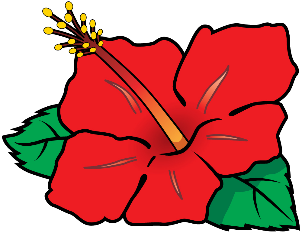 スペシャルハナハナ-30 POP用素材