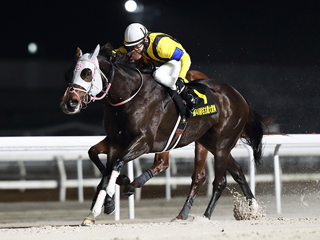重賞勝利レース - 社台サラブレッドクラブ