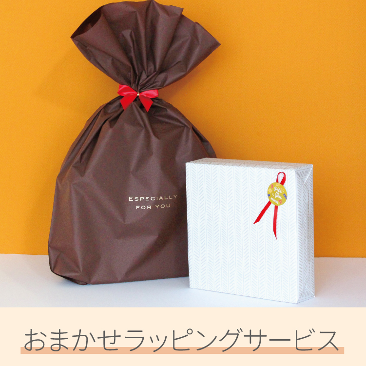 株式会社シャオール