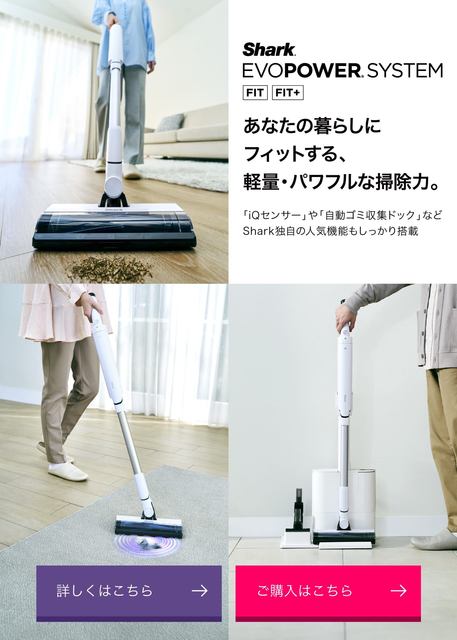 Shark キャニスター掃除機 ゴールド ノズル4種付き Shark キャニスター