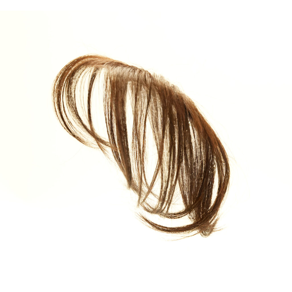 シートエクステ ライトブラウン | シートエクステ SHEET EXTE