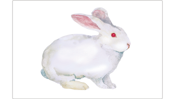 かな絵ちゃんカードA(英語版)【フラッシュカード】 | 七田式公式通販