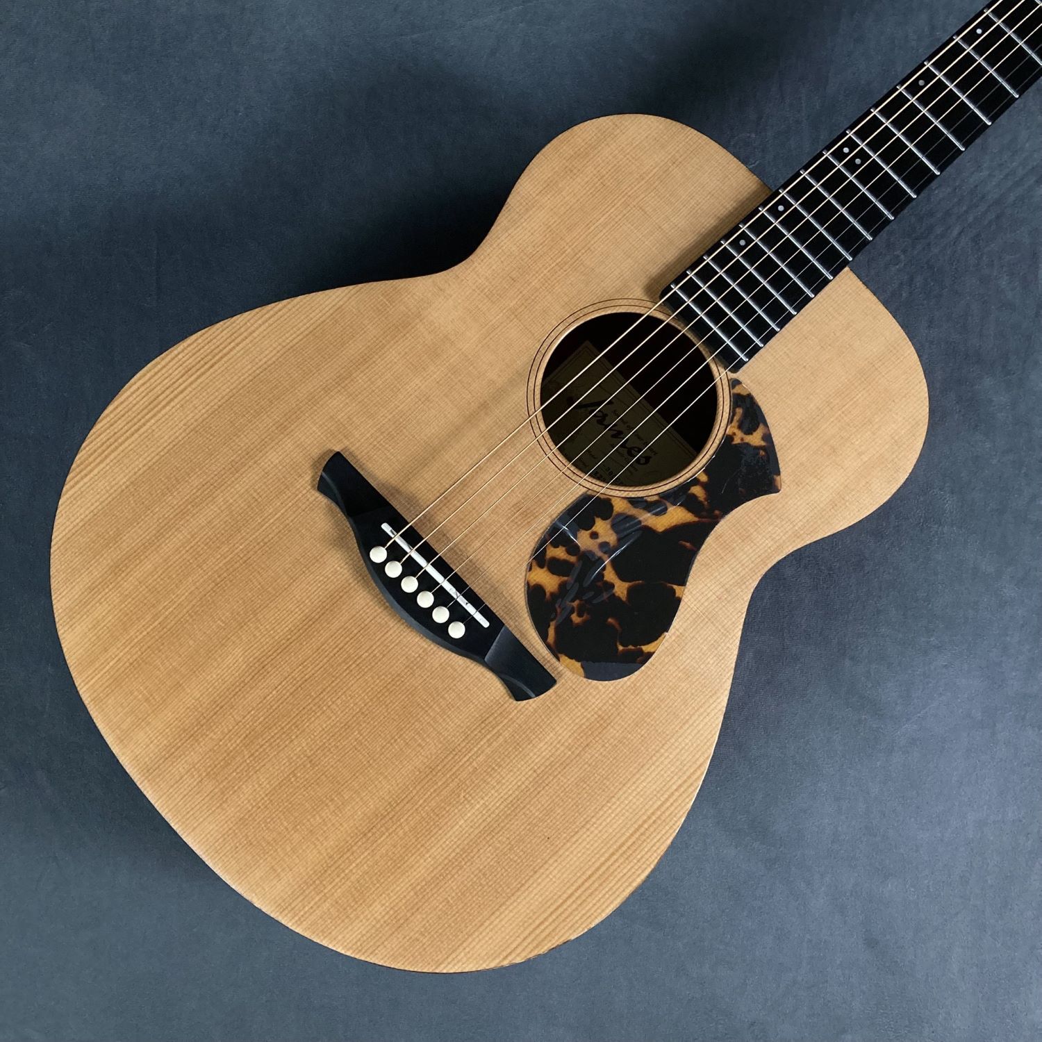 展示セール品紹介 アコースティックギター編（前編）｜島村楽器 イオン