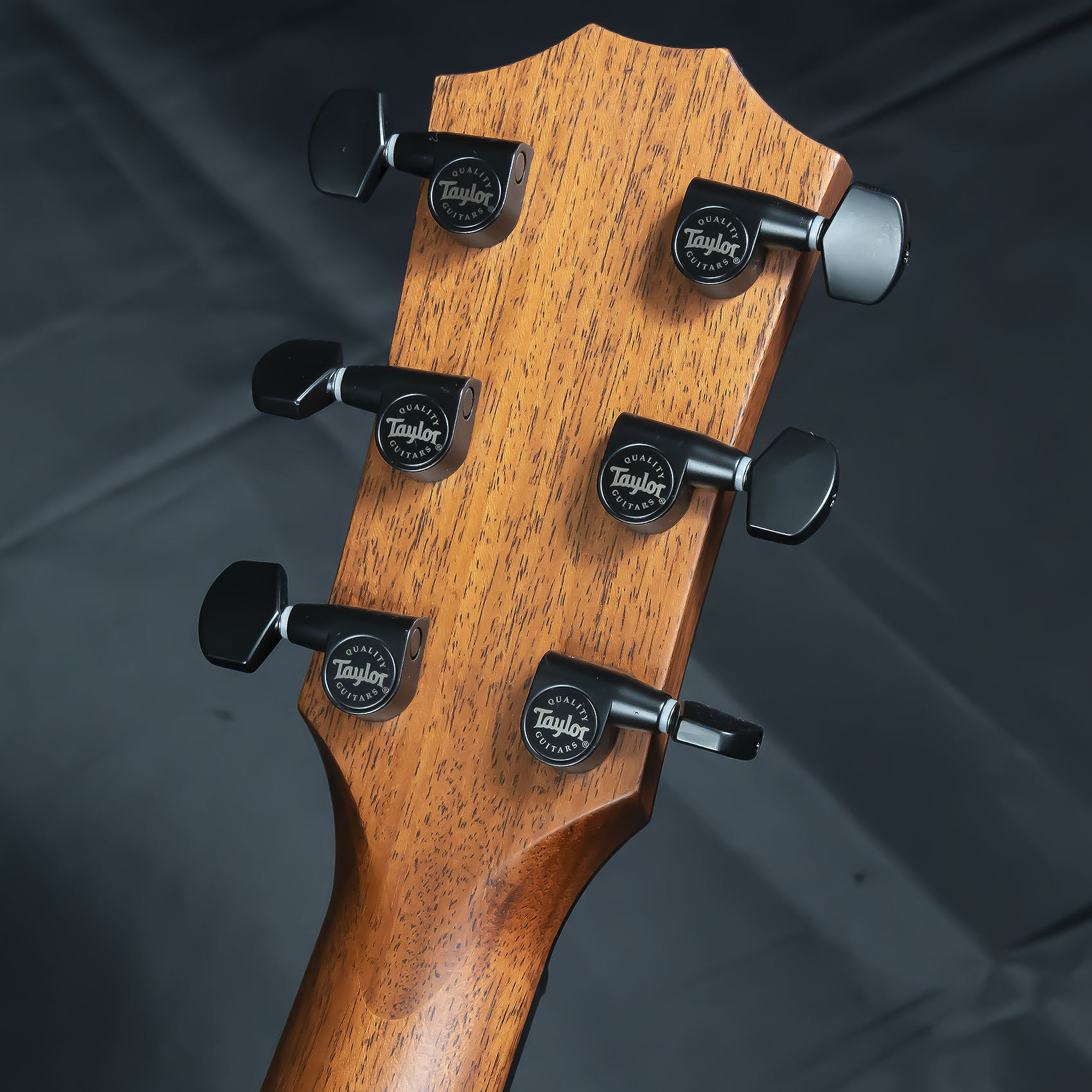 エレアコ】Taylorから文句なしのリミテッドモデルLTD 314ce K/TRS SEB