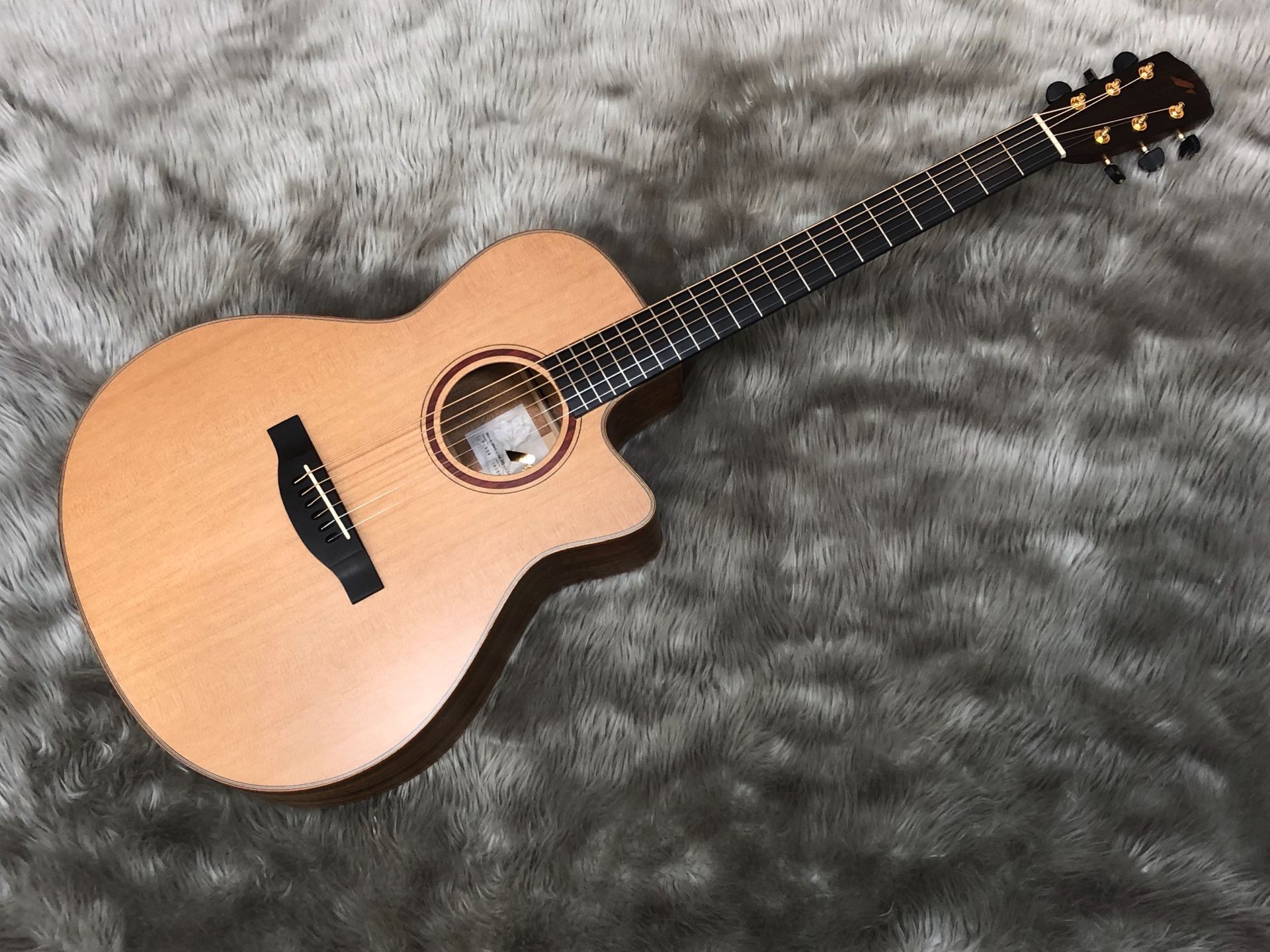 期間限定】MORRISアコギ展示中！【アコースティックギター】｜島村楽器