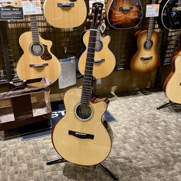 期間限定】Ayersギター試奏できます！｜島村楽器 イオンモール新利府