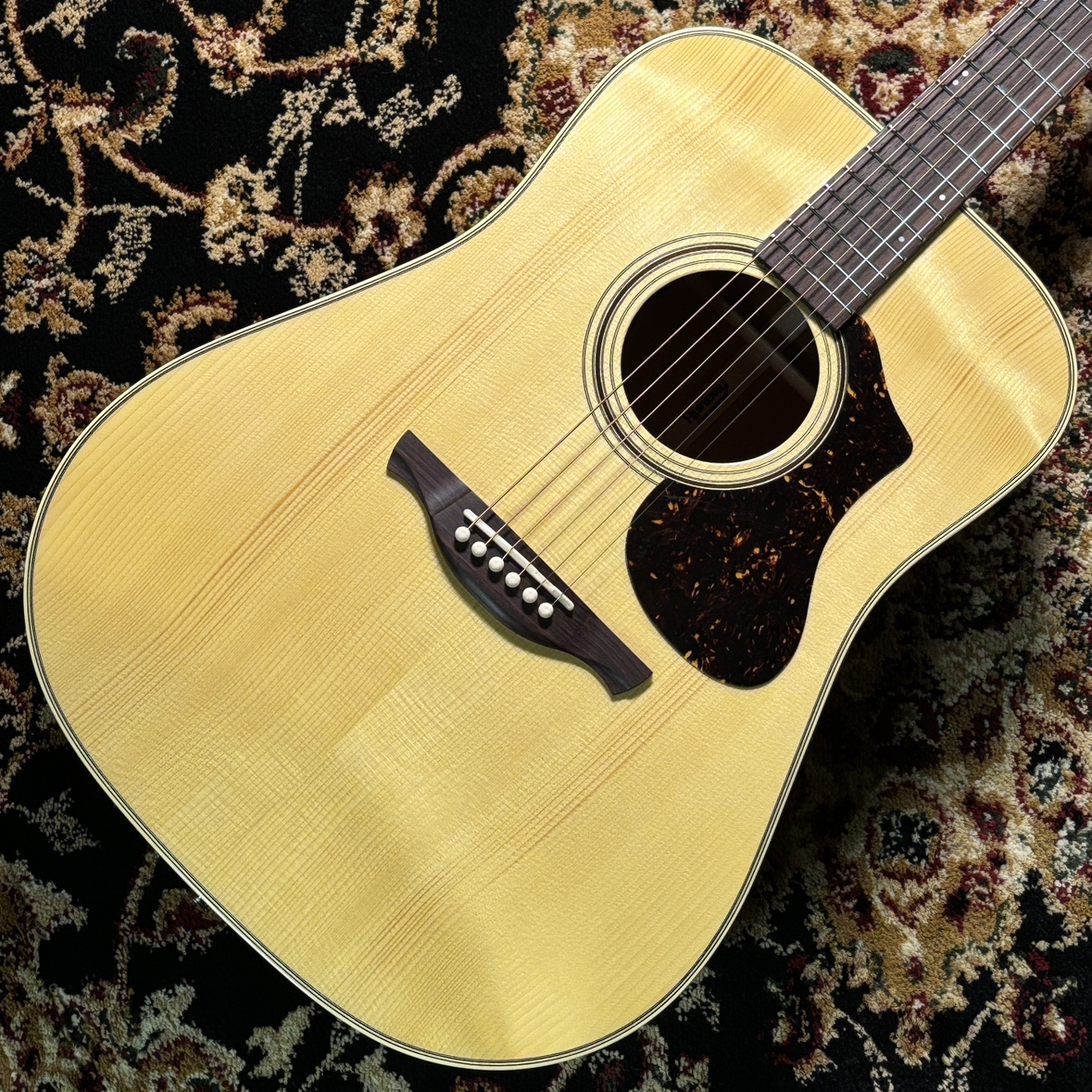 アコースティックギター】東郷店のHISTORYラインナップ！(2026/02/11