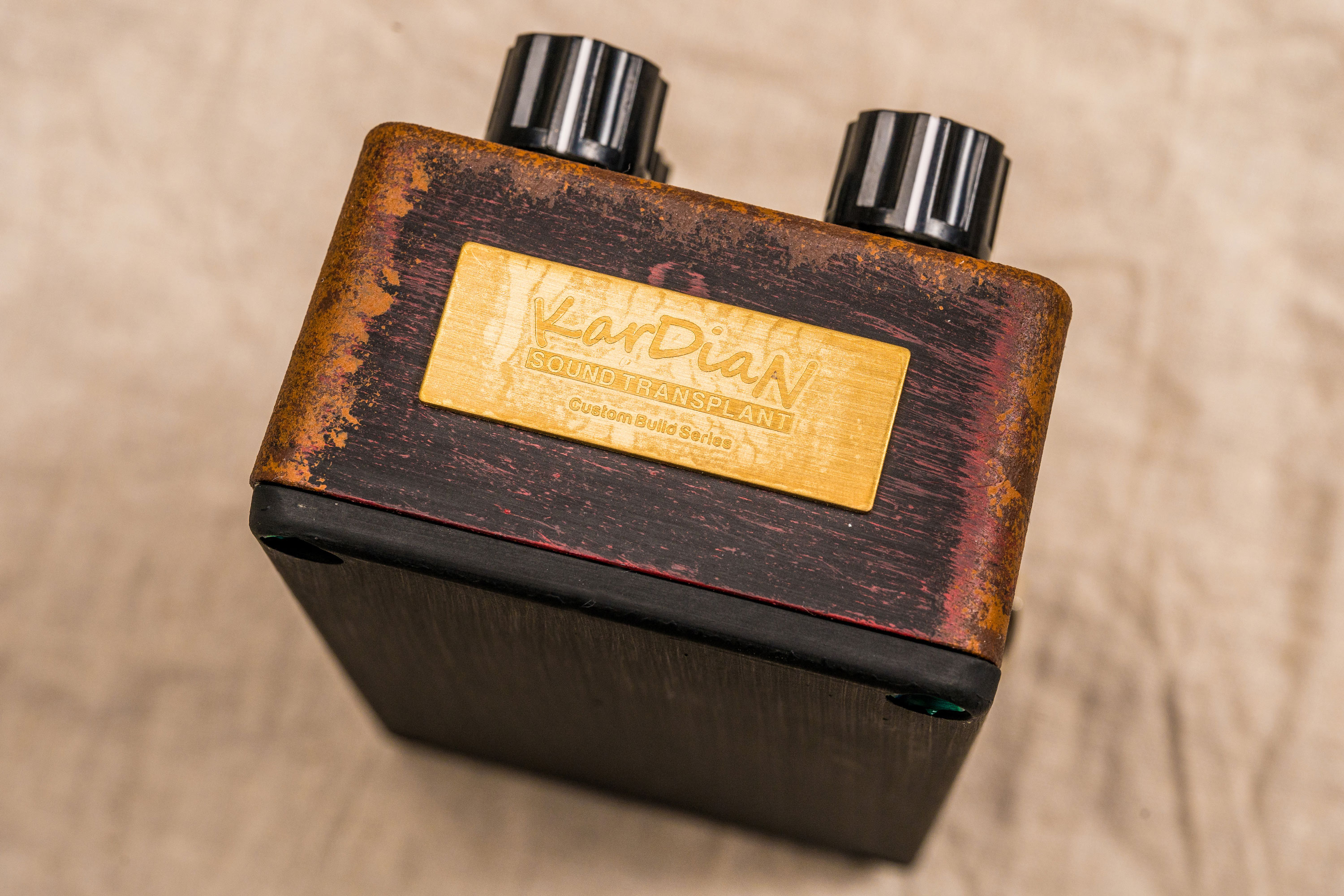 KarDiaN＆Petla自分の錆びペイントで作るエフェクター製作講座in岐阜