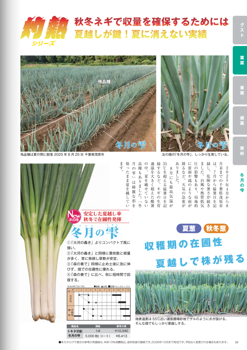 ネギ種子】 ダイヤ交配（トキタ種苗） 「冬月の雫（とうげつのしずく