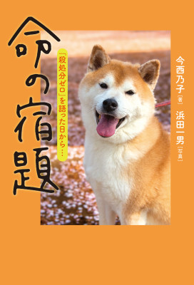 子どもの本-商品詳細｜新日本出版社
