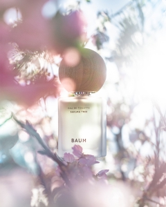 BAUM SAKURA TREE｜キャンペーン｜資生堂オンラインストア