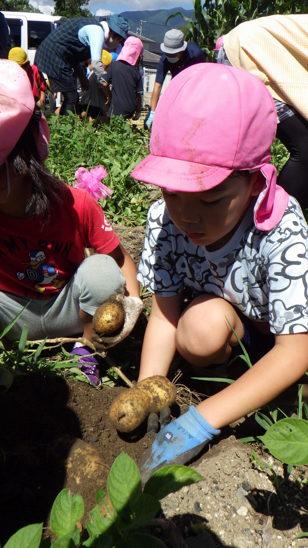 じゃがいも、ほったぞ～！ - 信州やまほいくの郷