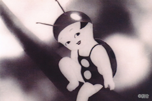 くもとちゅうりっぷ