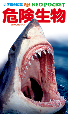 NEO POCKET | 小学館の図鑑NEOシリーズ | 小学館