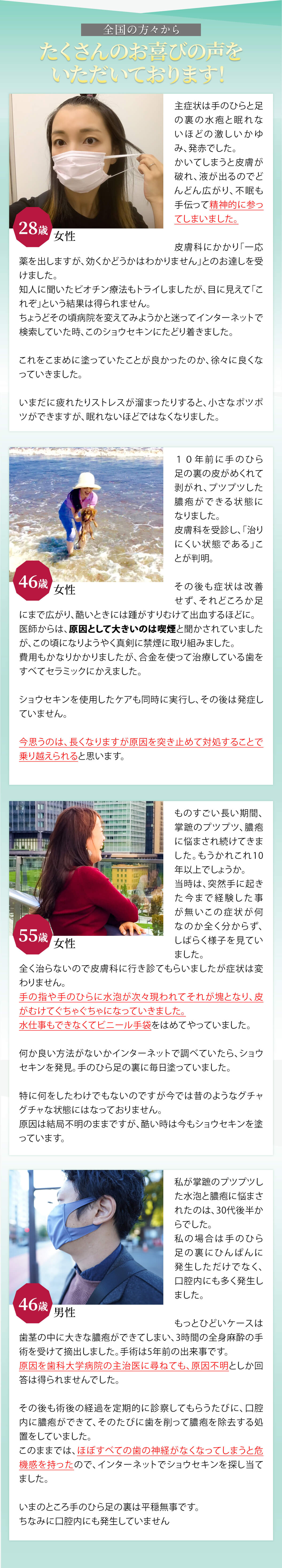 ショウセキン syousekin