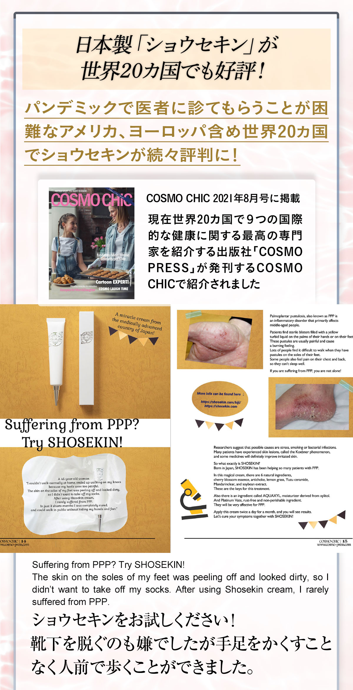 ショウセキン syousekin