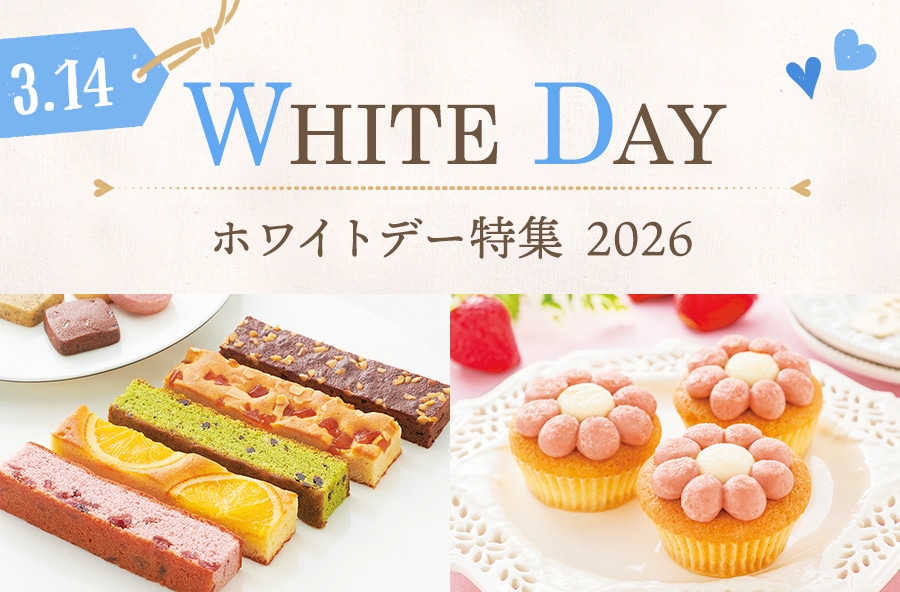 レターパック等の通販｜郵便局のネットショップ