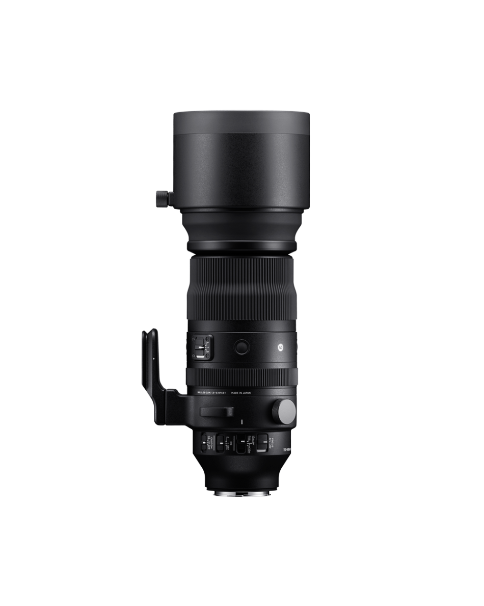 SIGMA 150-600mm F5-6.3 DG DN OS | Sports | SIGMA Corporation of