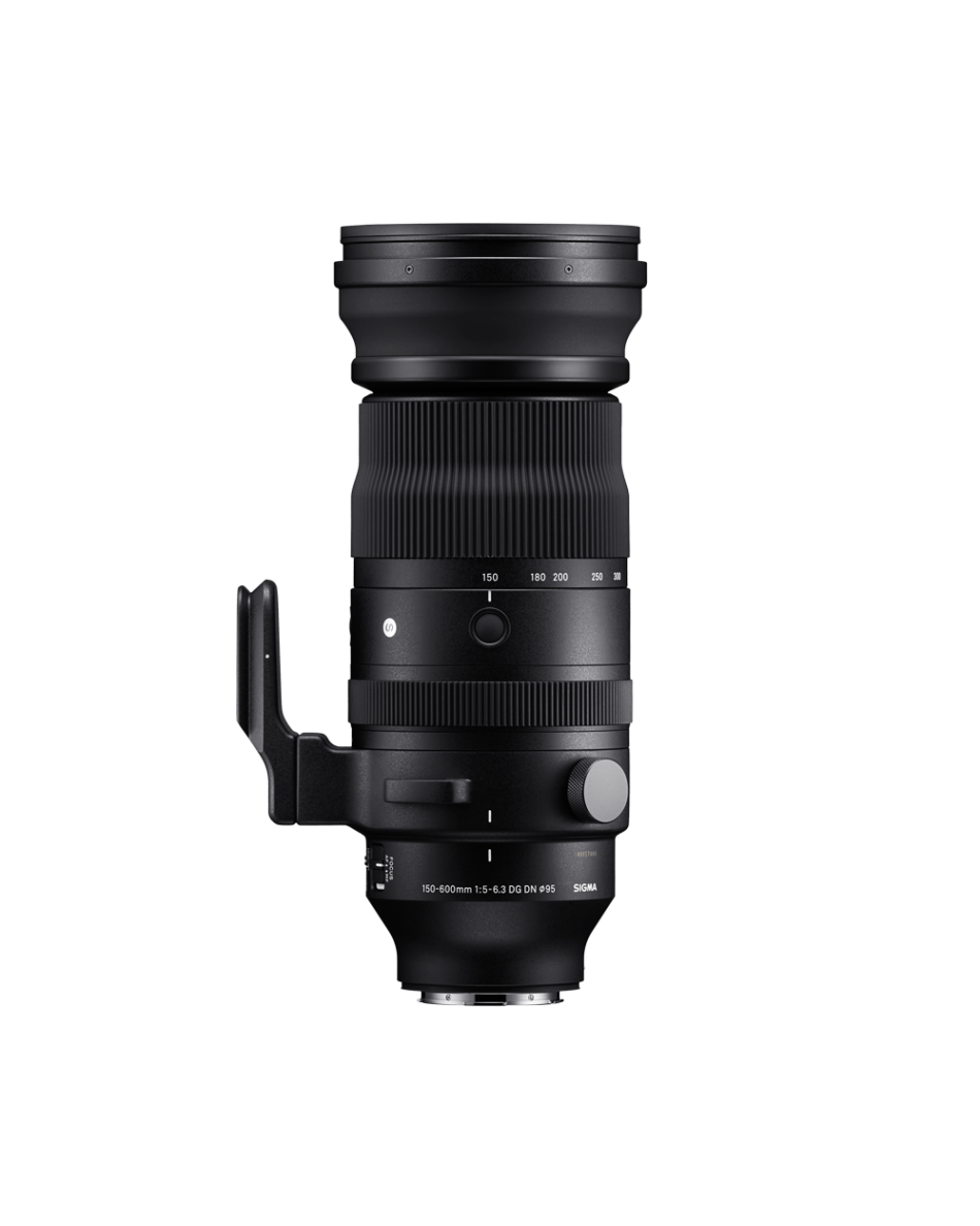 SIGMA 150-600mm F5-6.3 DG DN OS | Sports | SIGMA Corporation of
