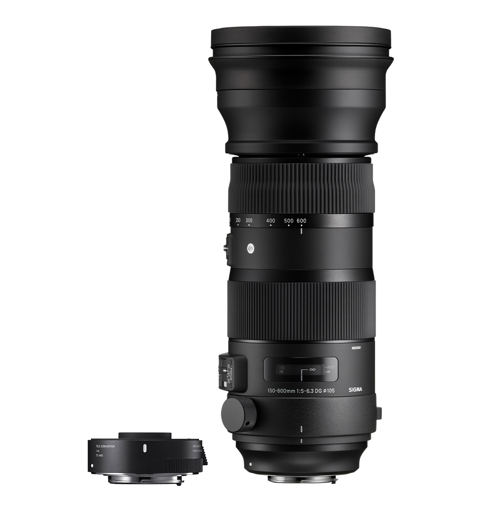 SIGMA 150-600mm Sports + TC-1401 1.4x Teleconverter | SIGMA