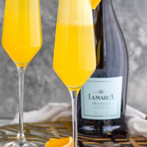 mimosa-copy-500x500.jpg