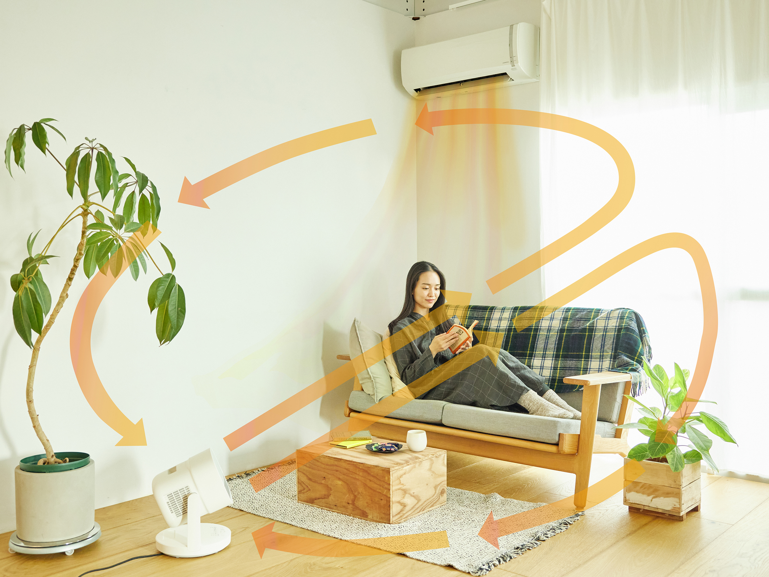 HOT&COOL サーキュレーター ポカクール SH-CD131｜シロカ