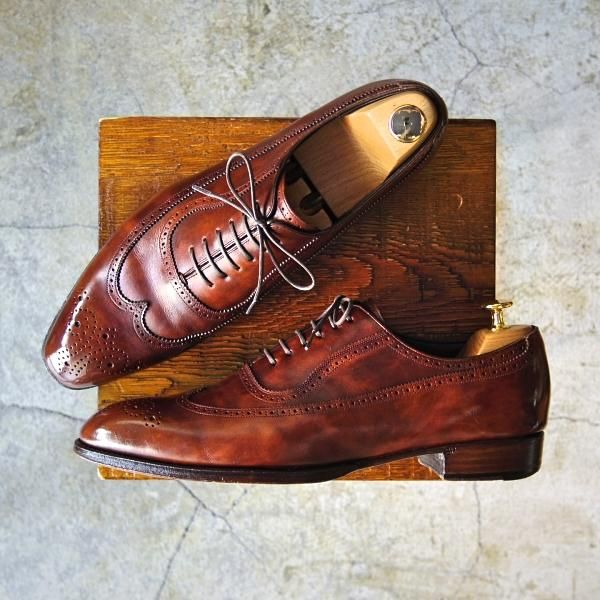 極上☆シェットランドフォックス SIZE 8【上級☆ブライトンシリーズ